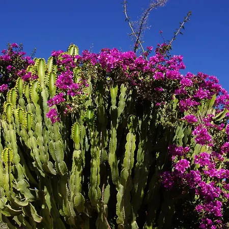 La Montana Roja Almogía