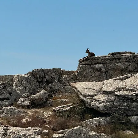 Κάμπινγκ La Montana Roja Almogía